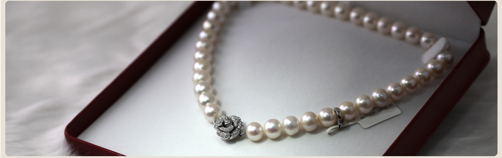 長崎の真珠養殖　加工販売　志田真珠有限会社