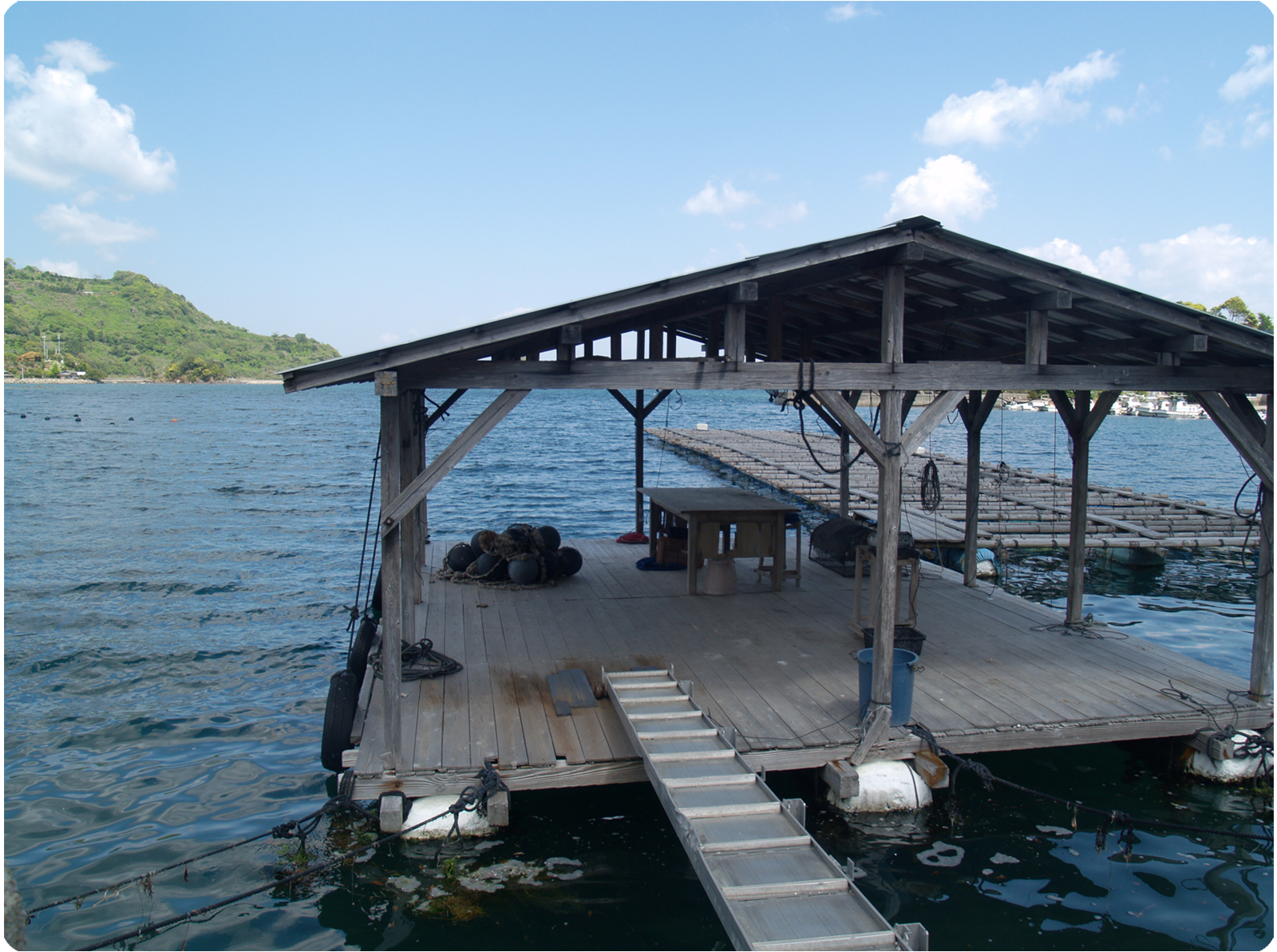 長崎の真珠養殖　加工販売　志田真珠有限会社