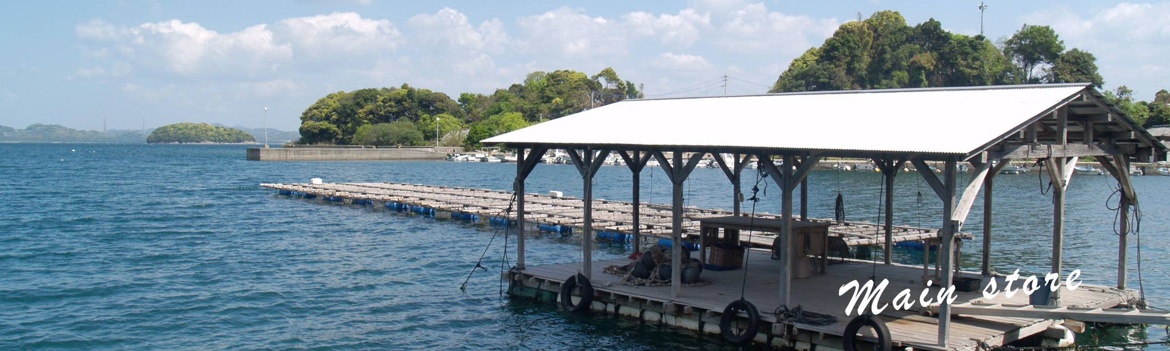 長崎の真珠養殖　加工販売　志田真珠有限会社