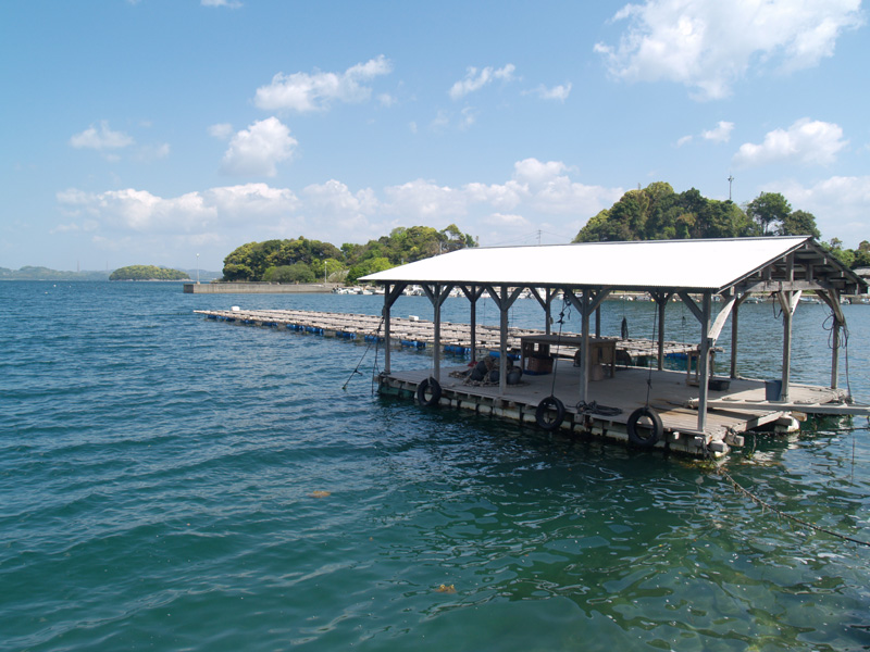 長崎の真珠養殖　加工販売　志田真珠有限会社